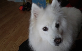 20180429_064609.jpg