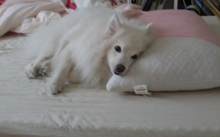 20180617_163523.jpg