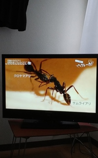 20180721_154336.jpg