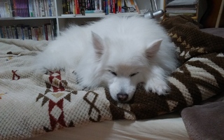 20190110_221101.jpg