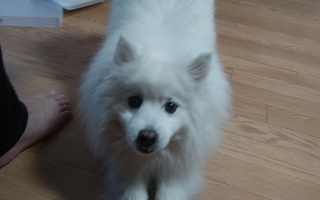20190617_182016.jpg