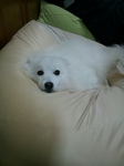 DSC_1217.jpg