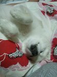 DSC_1571.jpg