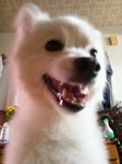 DSC_1576.jpg