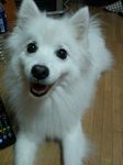 DSC_1683.jpg