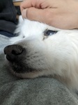 PXL_20230404_145631778.jpg