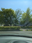 PXL_20230516_015159176.jpg